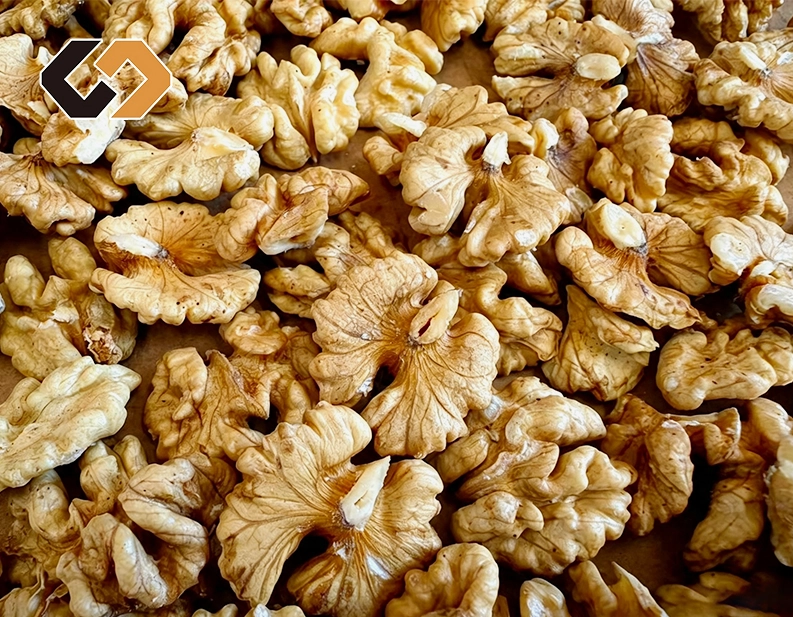 Normal Light Color Half Kernels